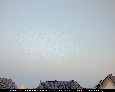 01.05.25 - 20:53