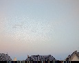 02.05.25 - 20:51
