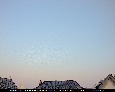 16.06.25 - 21:14